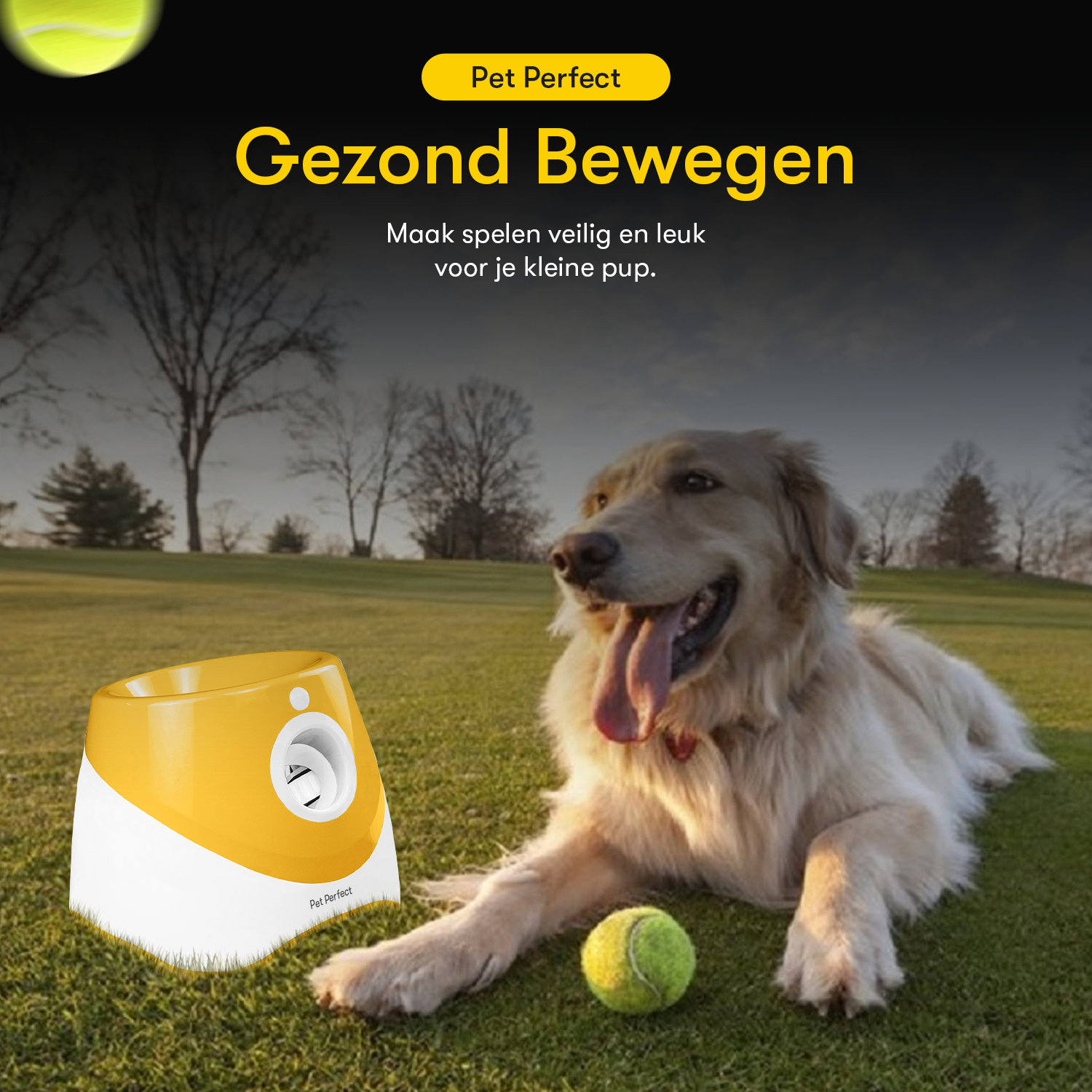https://cdn.shopify.com/s/files/1/0767/4429/4745/files/PetPerfect-automatische-ballenwerper-gezond-bewegen.png?v=1756804296