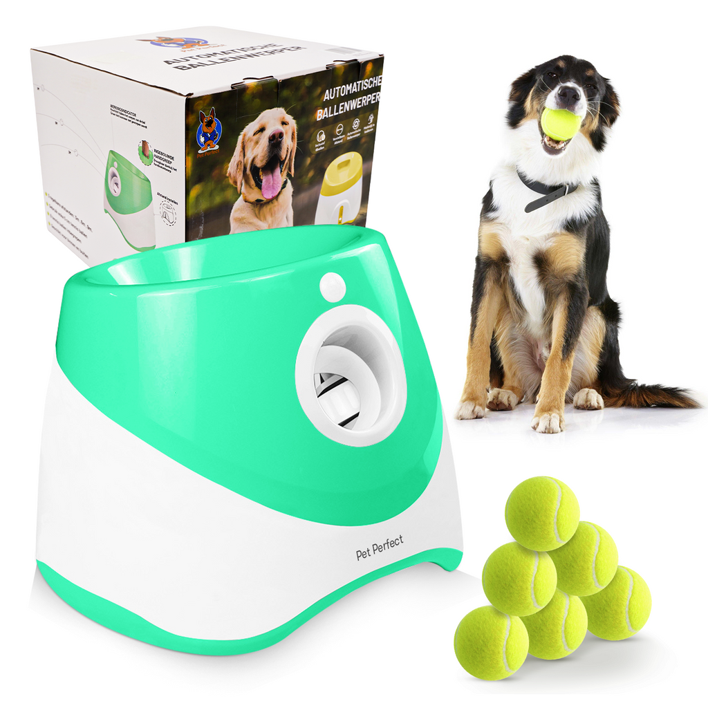 https://cdn.shopify.com/s/files/1/0767/4429/4745/files/PetPerfect-automatische-ballenwerper-groen.png?v=1756804296