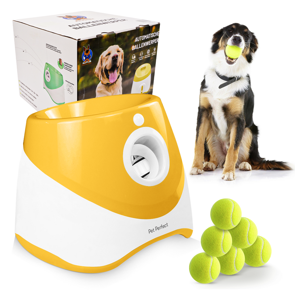 https://cdn.shopify.com/s/files/1/0767/4429/4745/files/PetPerfect-automatische-ballenwerper.png?v=1756804296
