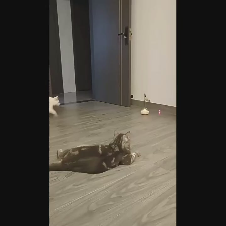 PetRelivo UFO 3-in-1 Automatisch Interactief Kattenspeelgoed met Laser en Veer